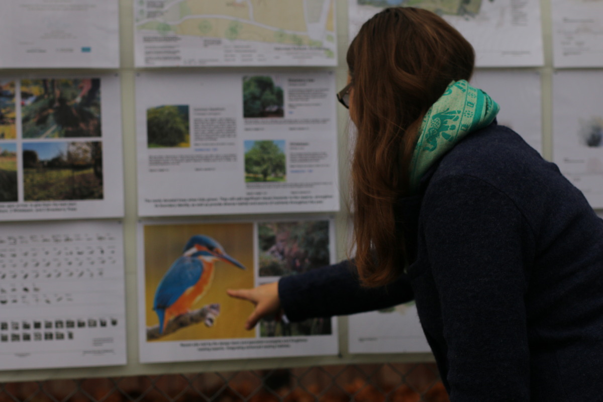 Information about the new Northcote Nature Reserve